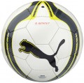 Puma Spirit Ball