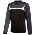 Puma Training Sweat