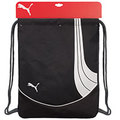 PumaTeamsport Formation Carry Sack