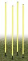 Coaching Sticks (spring loaded)